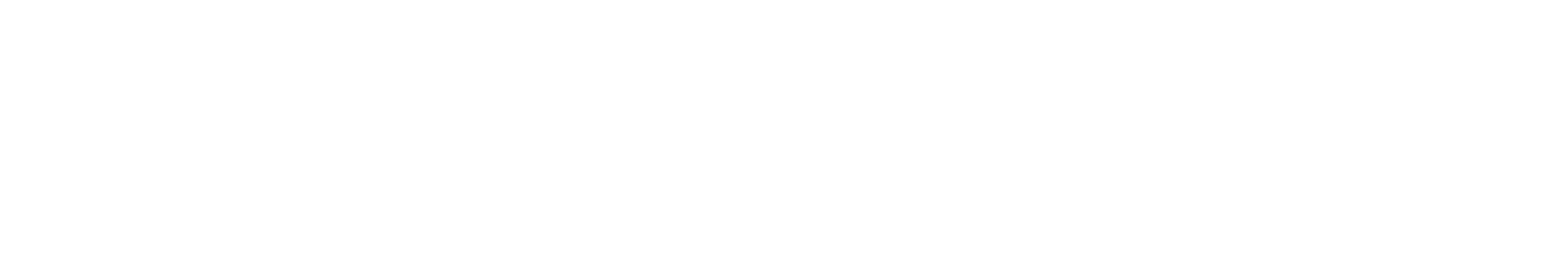 Wisewaytec logo
